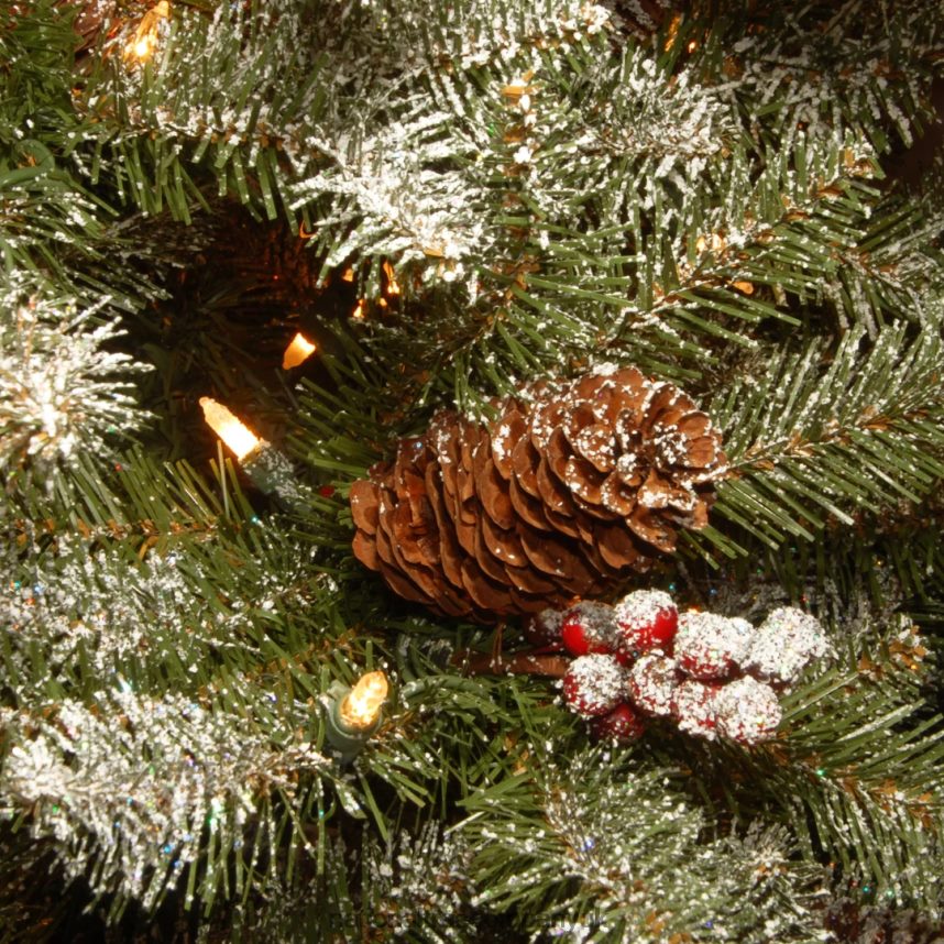 Trees | National Tree Company 75 ft Dunhill(R) Fir Slim Tree with Clear Lights F2L4F80